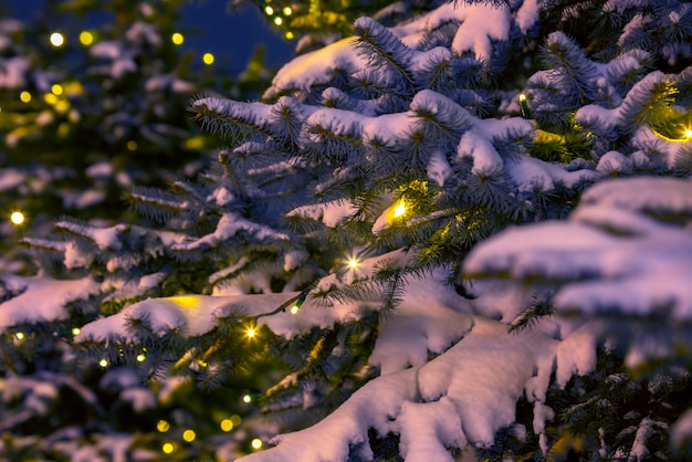 Ramos de abeto cobertos de neve com guirlandas de natal incluídas decorativas à noite