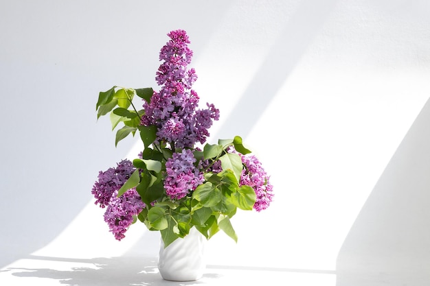 Ramos de lilás roxo fresco em vaso branco
