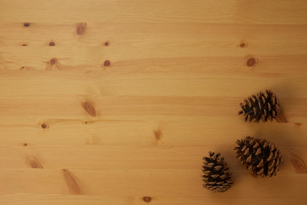 Ramos de madeira com cones de abeto criativos deitados na vista superior de fundo marrom com espaço de cópia Fundo de floresta orgânica ecológica natural Layout de composição outono outono