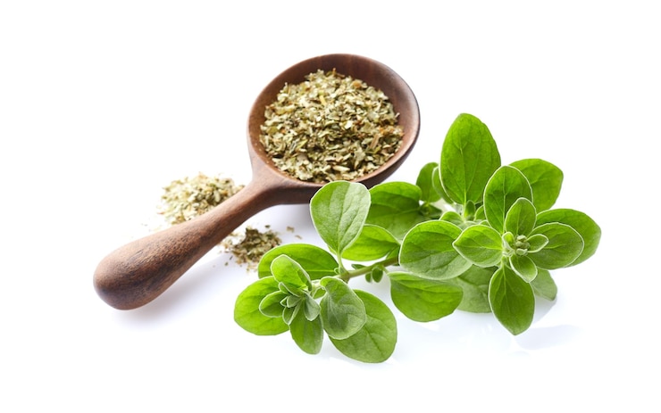 Foto ramos de marjoram com marjoram seco em colher de madeira em fundo branco