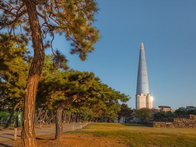 Foto ramos de pinheiro com bela torre atrás