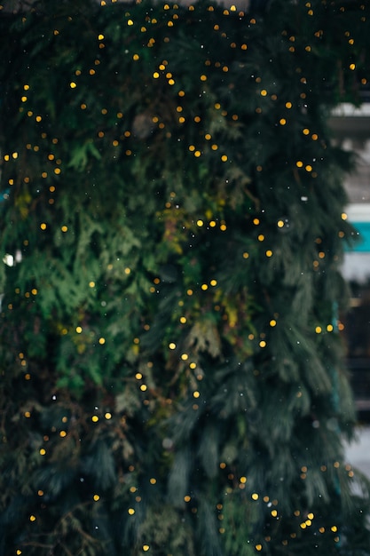 Ramos de pinheiro de fundo de natal com luzes de guirlanda