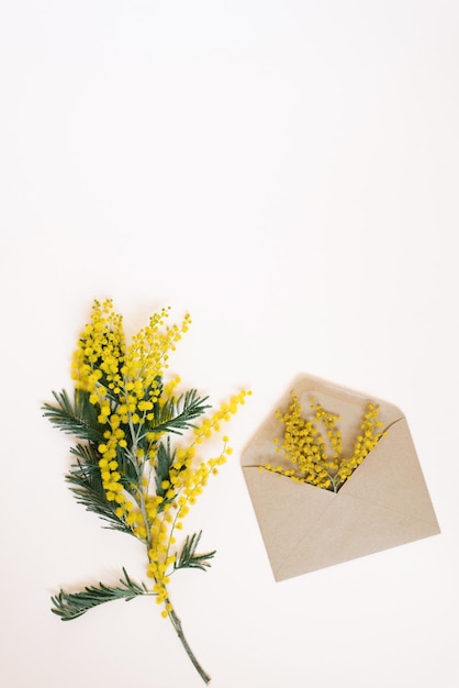 Ramos de uma linda flor de mimosa em um envelope de artesanato em um fundo branco com espaço de cópia