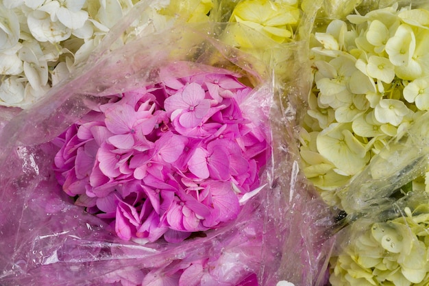 Ramos de flores de hortensias en el primer plano del mercado