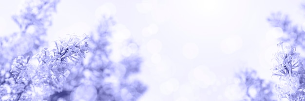Ramos lilás iluminados pelo sol com flares e bokeh. Belo design de close-up de flores lilás para convite ou cartão de felicitações. Faixa floral larga na cor do ano 2022 Very Peri com espaço de cópia.