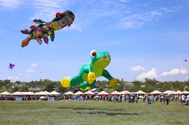 Rana cometa verde volando en el cielo azul. Show de globos. Festival de cometas