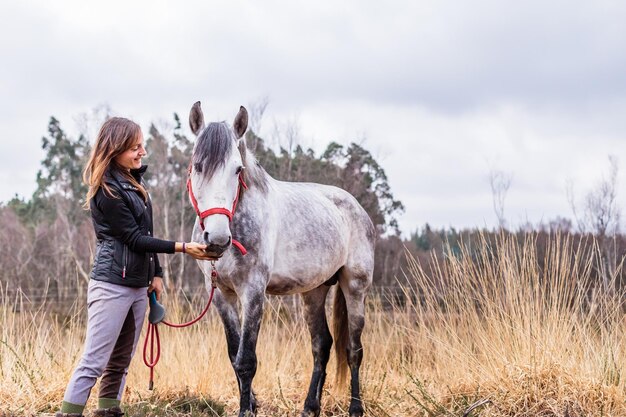 Rancho equino propietario de una pequeña empresa retrato de atleta profesional ecuestre cuida un caballo gris de pura raza