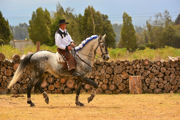 Rancho Fenix, Latacunga, Cotopaxi, Ecuador 12. August 2016. Ein Reiter in der Dressur mit einem Pferd