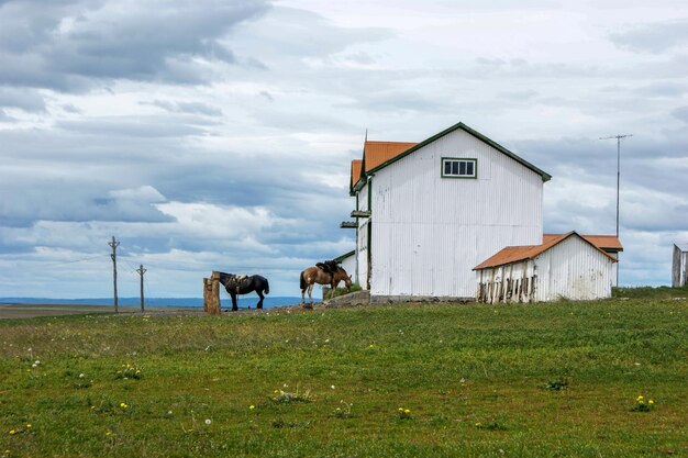 Foto rancho na patagônia