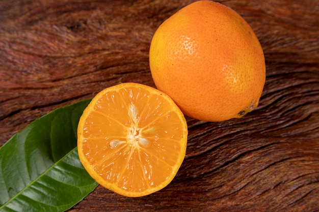 Foto rangpur citrus limonia oder citrus reticulata medica, manchmal auch als rangpur-limette, mandarinenlimette oder lemandarin bezeichnet, ist eine kreuzung zwischen der mandarine und der zitrone