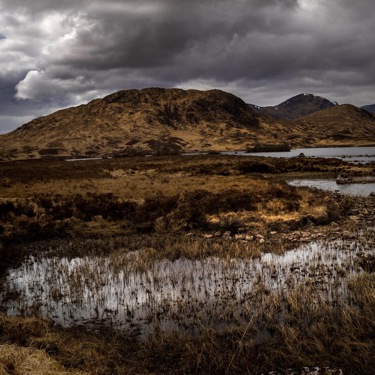 Foto rannoch moor
