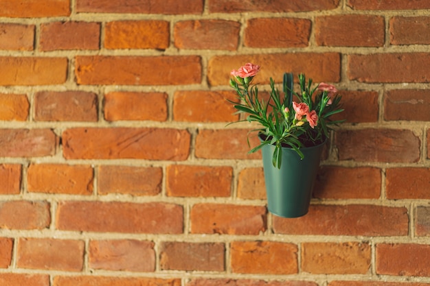 Foto ranunculus flores en jarrones cuelgan en una pared de ladrillo fondo de ladrillo en la terraza hermosas flores i ...