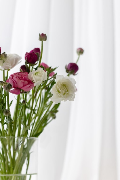 Ranunculus en un jarrón sobre un fondo blanco para texto Foto para texto Delicadas flores de primavera