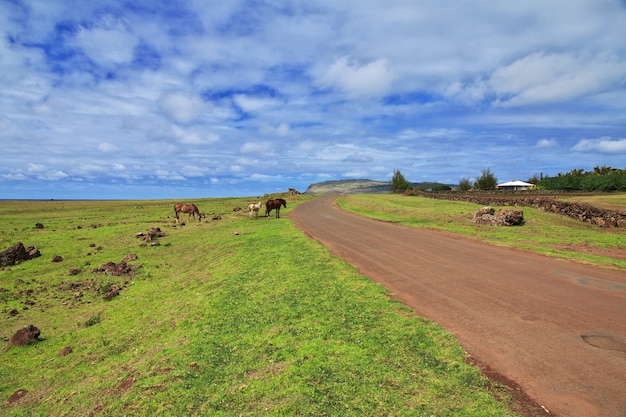 Rapa Nui. Die Straße auf der Osterinsel, Chile