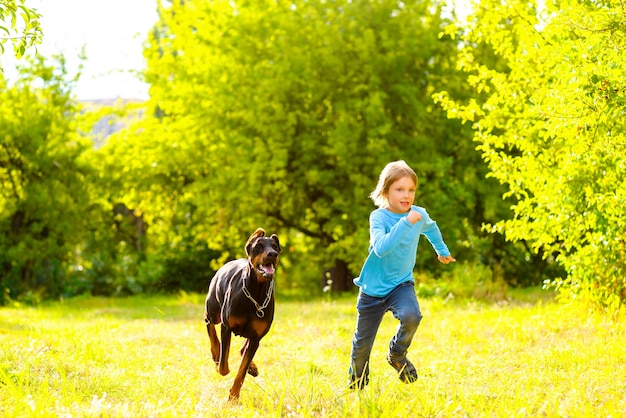 Rapariga loira com doberman no parque de verão