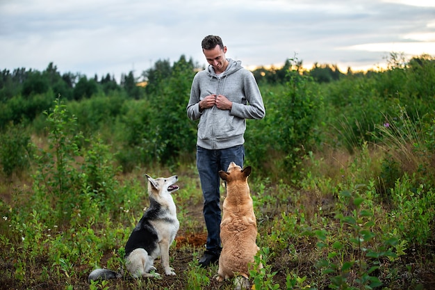 Rapaz alegre com roupa casual treinando cães obedientes enquanto passa um tempo na natureza durante o pôr do sol