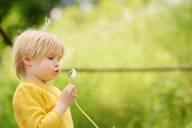 Rapaz pequeno louro encantador que joga com a flor do dente-de-leão no dia de verão.