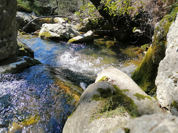 Un rápido río de montaña con aguas cristalinas, que fluye rápidamente entre rocas.
