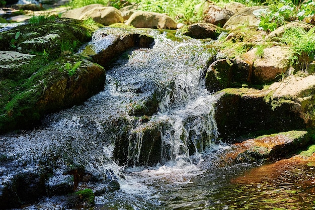 Rápido río de montaña con cascadas en Karpacz Polonia