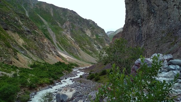 Rápido río de montaña fluye entre rocas