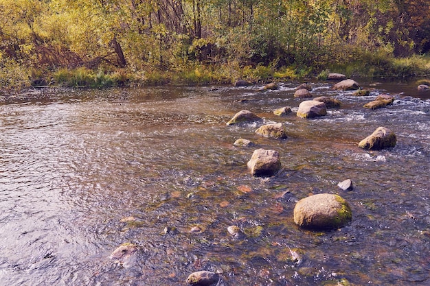 Un rápido río de montaña en las montañas en otoño.