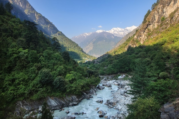 Rápido río de montaña en el valle del Himalaya al amanecer.