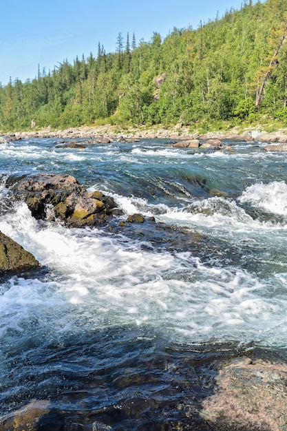 Un rápido en el río del norte