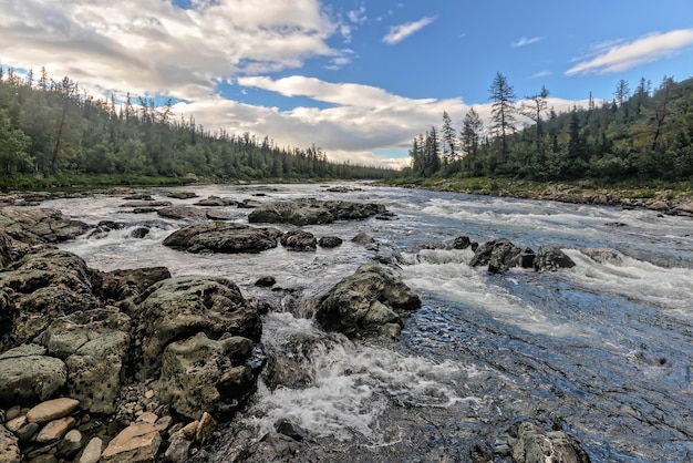 Un rápido en el río del norte