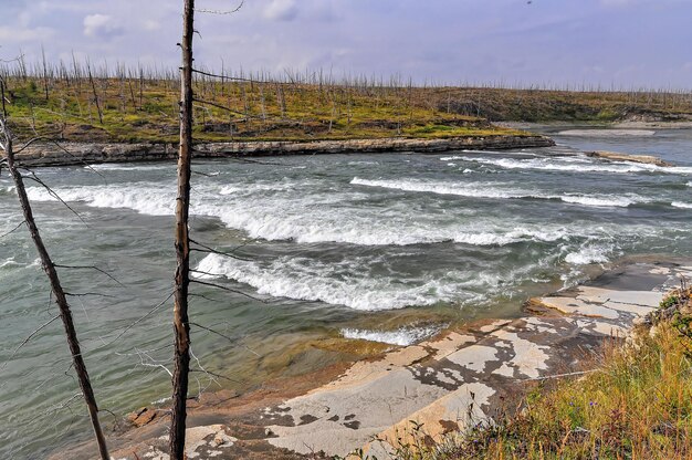 Un rápido en el río del norte