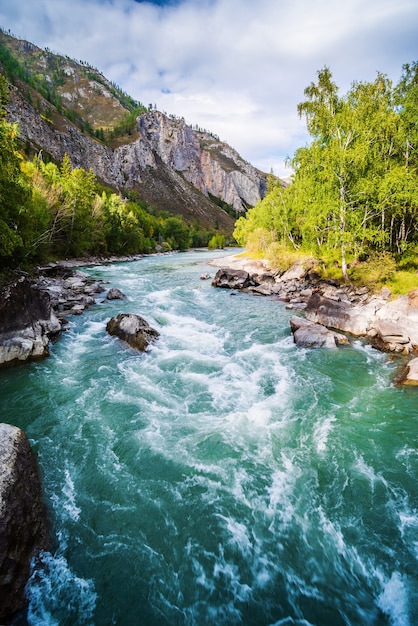 Rápido del río en el río Chuya