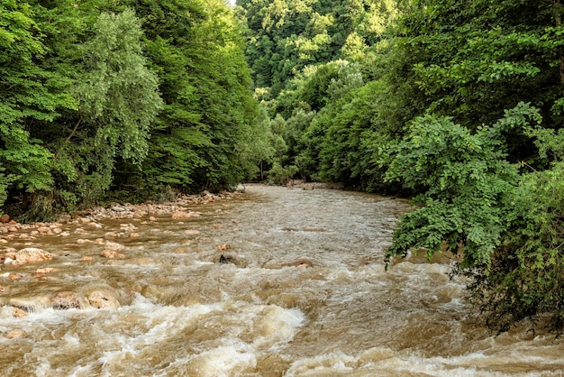 Rápidos en un río de montaña rápido