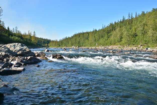 Los rápidos en un río del norte