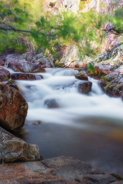 Foto rápidos del río