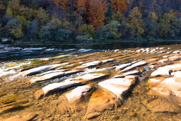 Rápidos de ríos de montaña poco profundos con bosques de terracota de otoño siempre verdes en bancos empinados bajo un cielo azul claro en el soleado día de otoño vista del paisaje