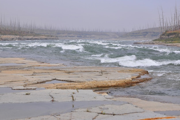 Rápidos turbulentos en el río