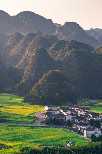 Rapsblumenfeld und -dörfer an nationalem geologischem Park Wanfenglin (Wald von zehn tausend Spitzen), China