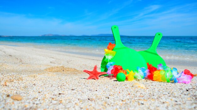 Raquetas verdes con collar hawaiano junto al mar