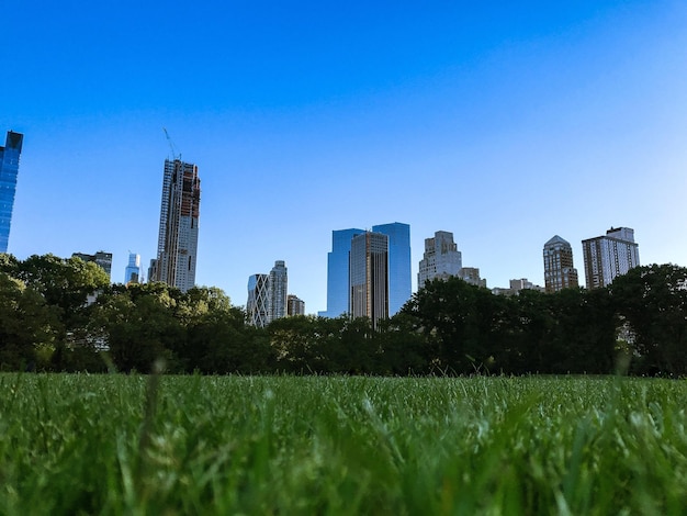 Foto los rascacielos contra el cielo azul claro visto desde el parque central