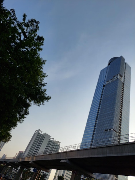 Rascacielos de cristal modernos contra el cielo al atardecer Vista de abajo hacia arriba