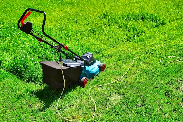 Rasenmäher elektrische Maschine zum Schneiden von grünem Gras