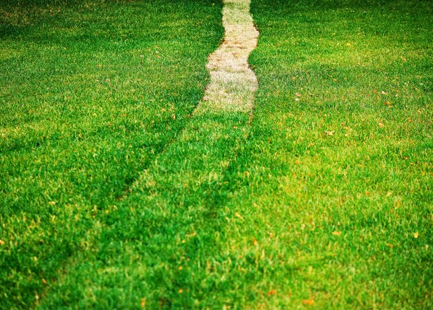 Foto rasenmäher-fußabdruck auf grünem und gelbem wiesenhintergrund