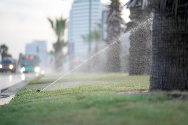 Rasensprenger sprüht Wasser über grünes Gras Bewässerung von Rasenflächen