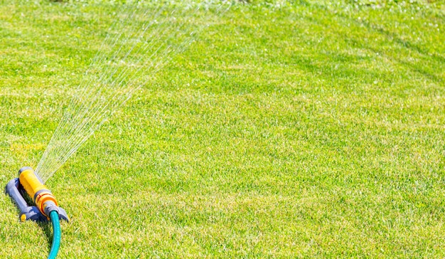 Rasensprinkler des Bewässerungssystems sprüht Wasser über frisches Gras im Garten