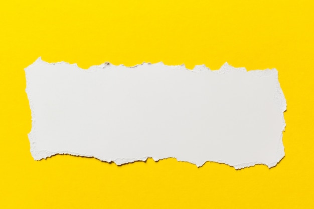 rasgado de papel