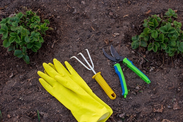 Un rastrillo amarillo, guantes de jardín amarillos y una podadora verde