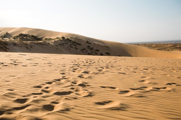 Un rastro de huellas en la arena en el desierto Duna de Sarykum en Daguestán Viaje recorrido turístico natural