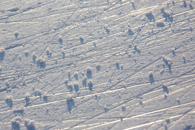 Rastros brillantes de patinaje sobre hielo en una pista de hielo. y textura