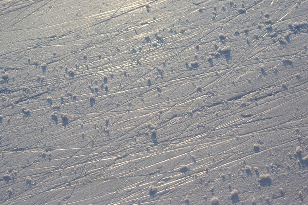 Rastros brillantes de patinaje sobre hielo en una pista de hielo