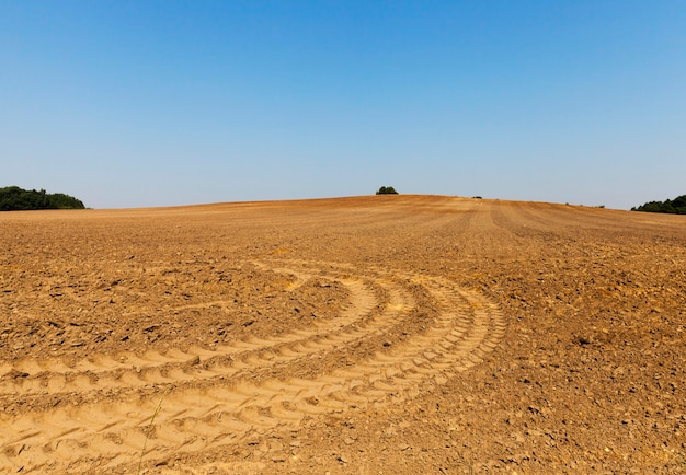 Rastros de campo agrícola arado con ruedas que quedan después del equipo especial, el cielo azul de fondo