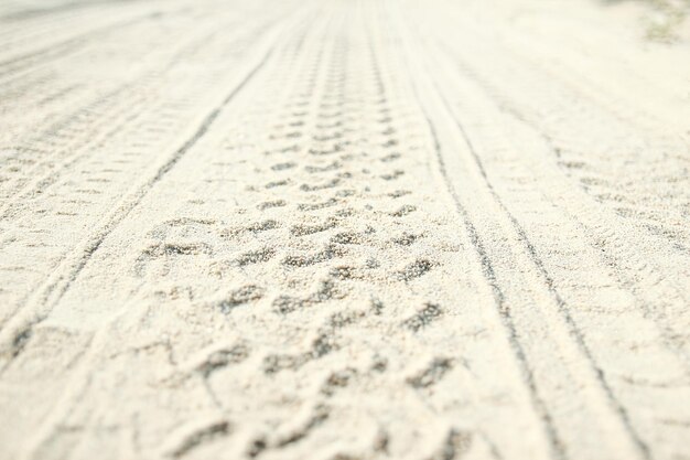 Rastros de un coche en la arena cerca del mar en el fondo de la naturaleza